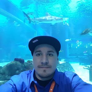 Meet your Posher, Bobby